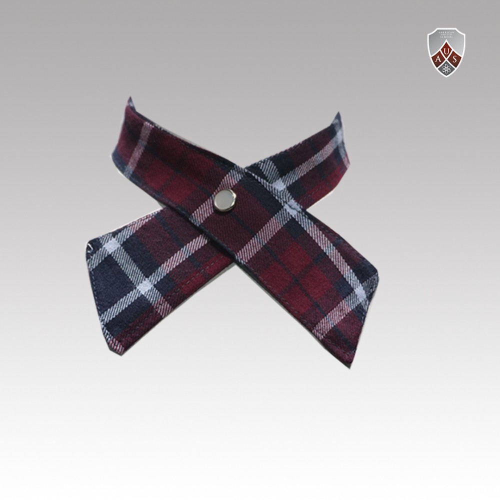 Es Cross Tie Multi Colored Check